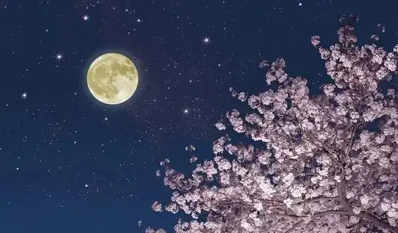 女网红回村说八卦是真的吗-_千万网红回村躺平_农村流量真相