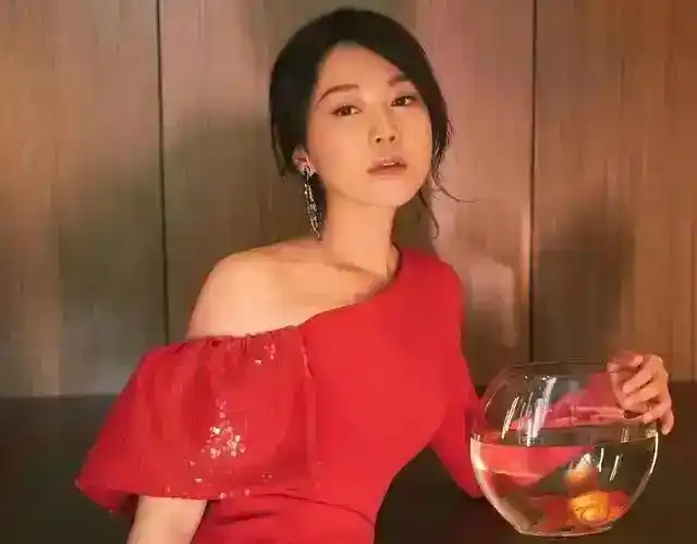 所有女明星排行榜_演技精湛的女演员推荐_最突出“杠剧”能耐的十位女演员